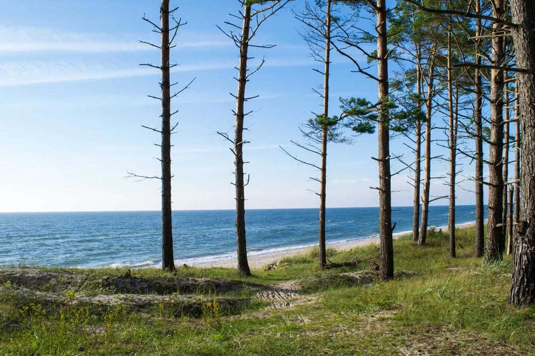 Forest Karosta Beach Latvia