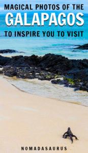 Galapagos Pinterest Image
