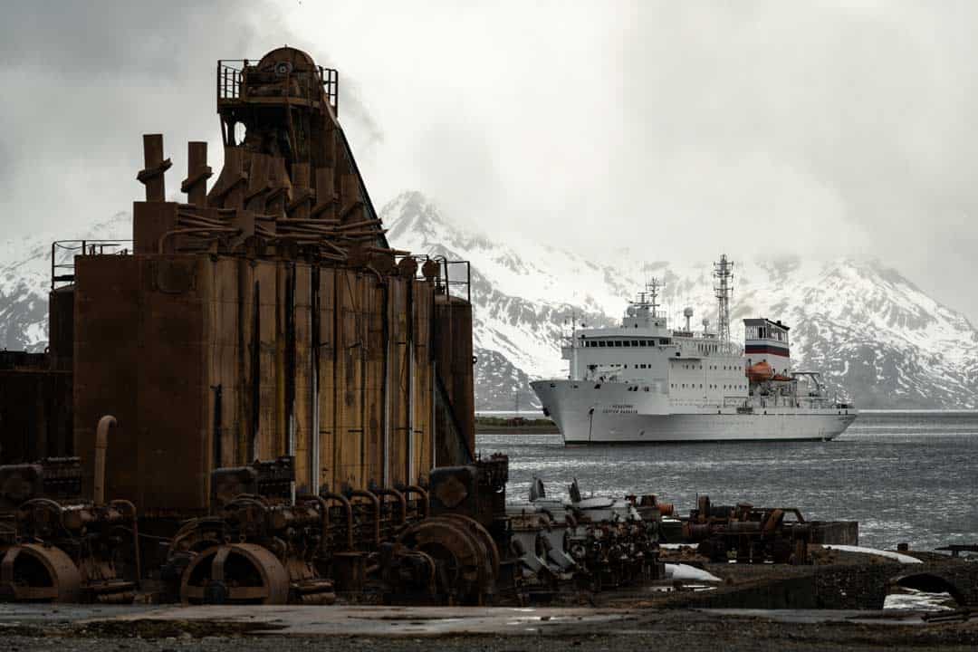 One Ocean Expeditions South Georgia Vavilov