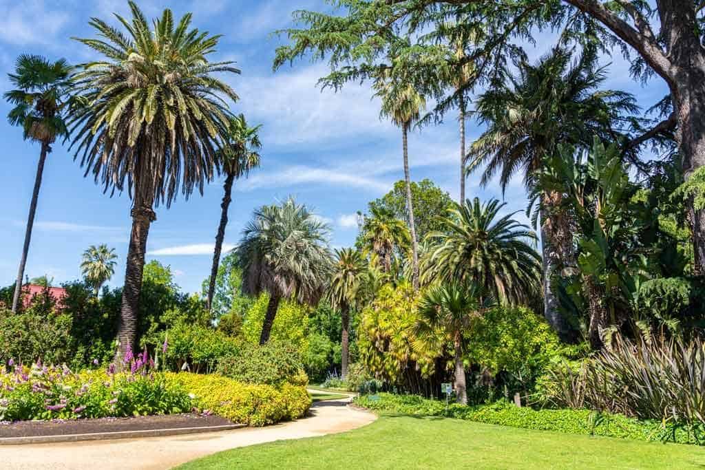 Albury Botanic Gardens