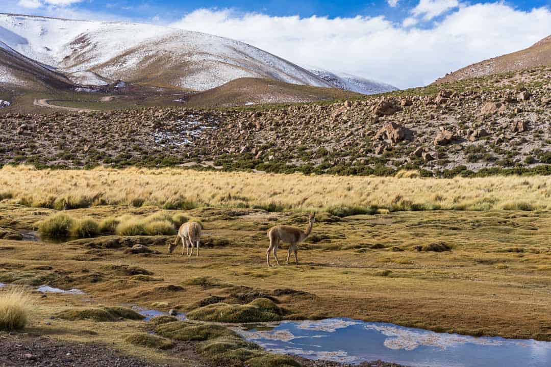 Atacama Desert Landscape