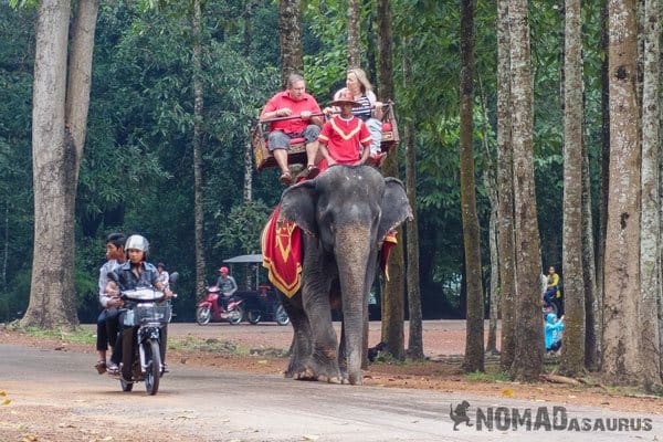 Riding Elephants 10 Ways To Be A Responsible Traveller