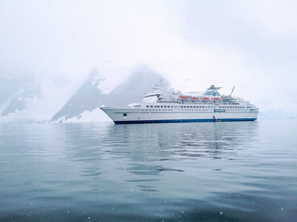 Antarctic Cruise Vs. Expedition