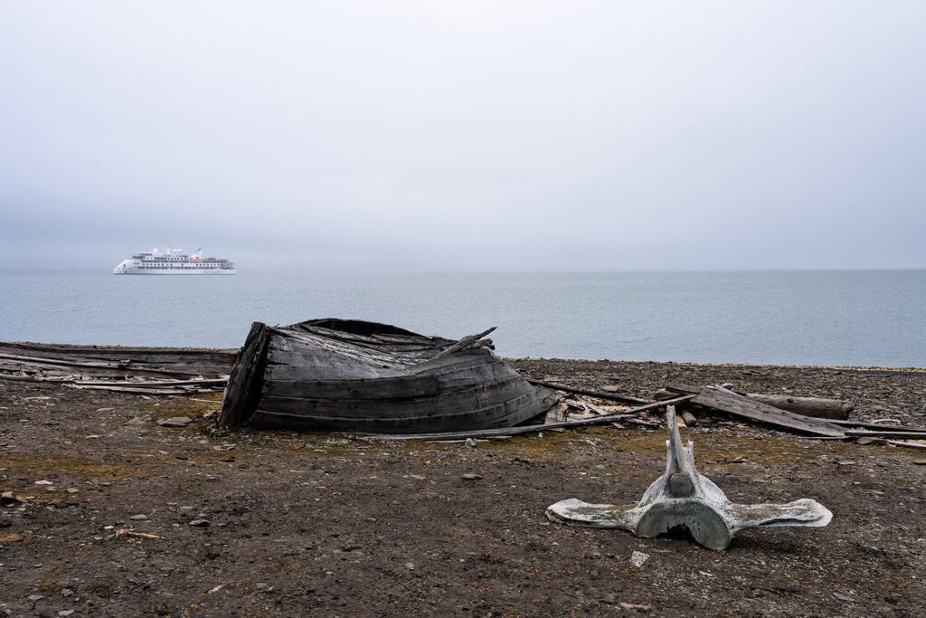 Bamsebu Whale Bones Svalbard