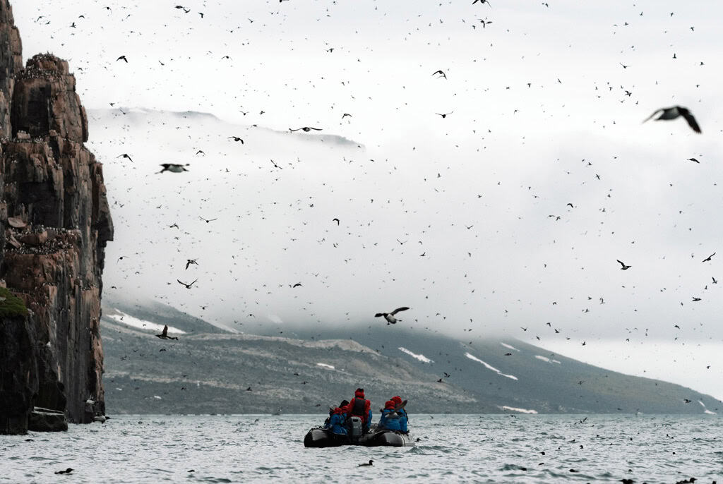 Birds And Zodiac At Alkefjellet Svalbard Aurora 1