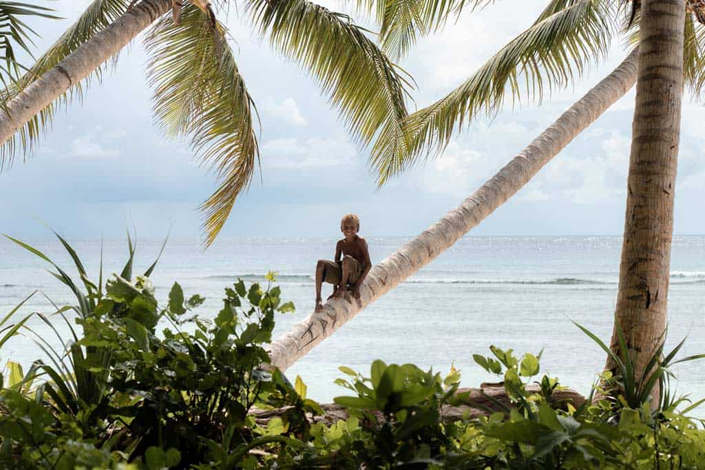 Smiling Between The Palm Trees.