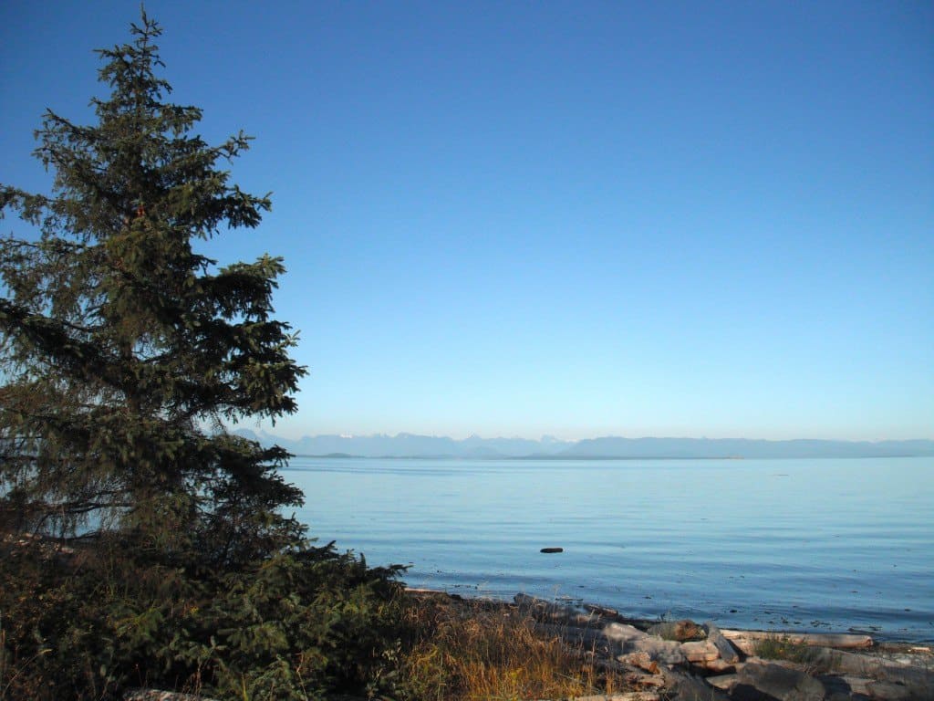 Camping Campbell River Orca Haida Killer Whale Tattoo