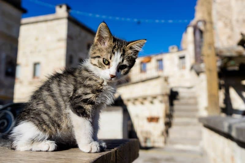 Kale Konak Cave Hotel Uchisar Goreme Best Boutique Hotel Cappadocia