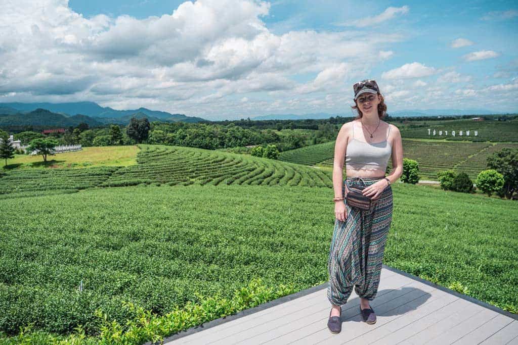 Choui Fong’s Mae Chan Tea Plantation