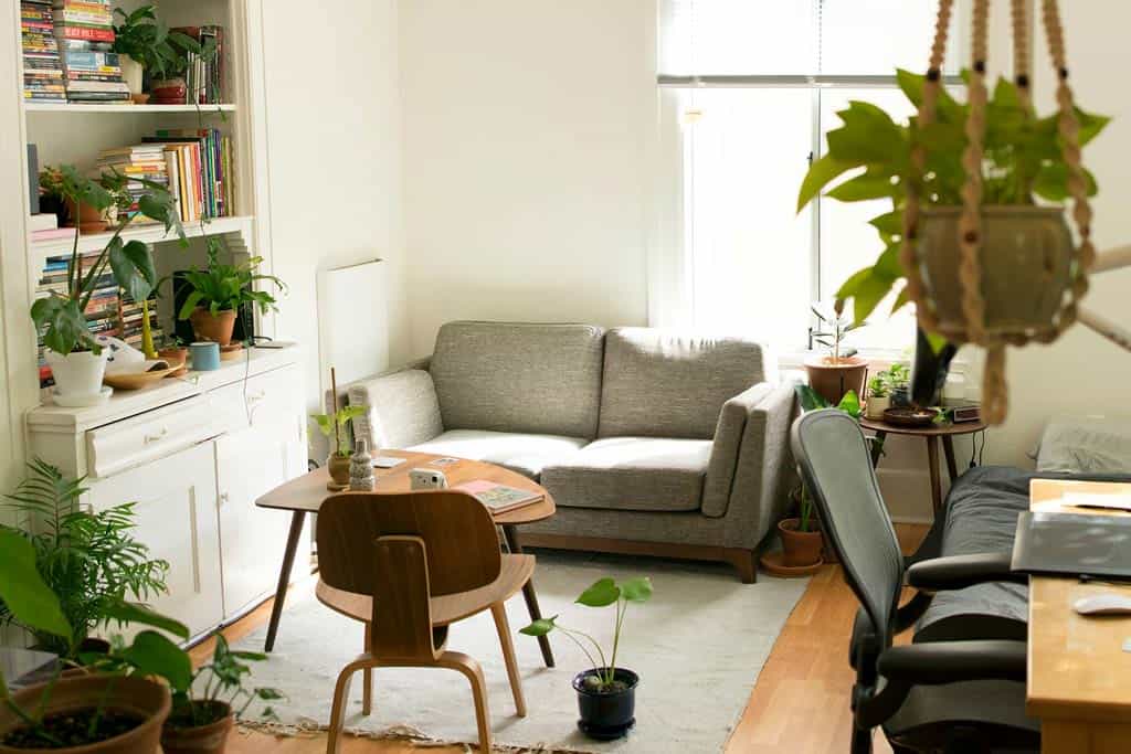 Cozy Home Layout Interior