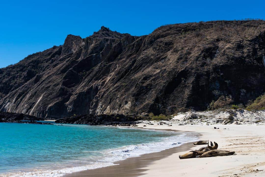 San Cristobal Beach Ecoventura Itinerary A Review Origin Galapagos Islands