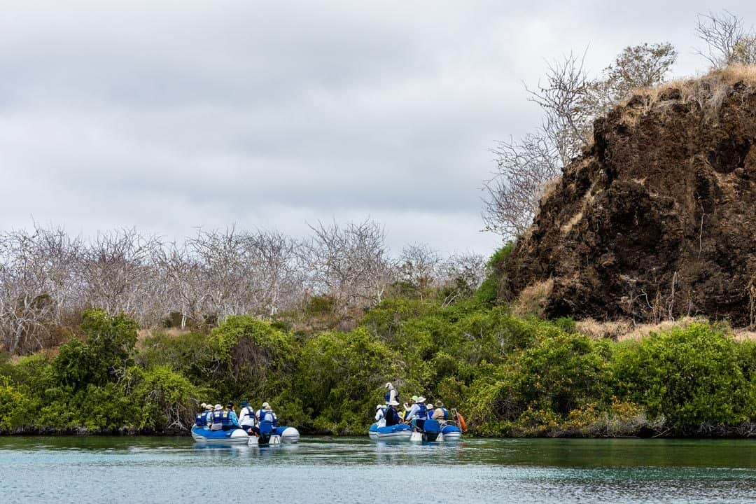 Floreana Ecoventura Itinerary A Review Origin Galapagos Islands