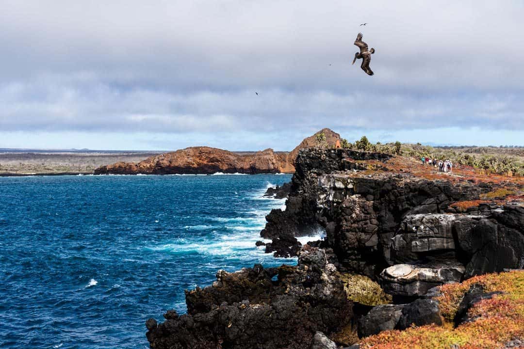 South Plaza Island Ecoventura Itinerary A Review Origin Galapagos Islands