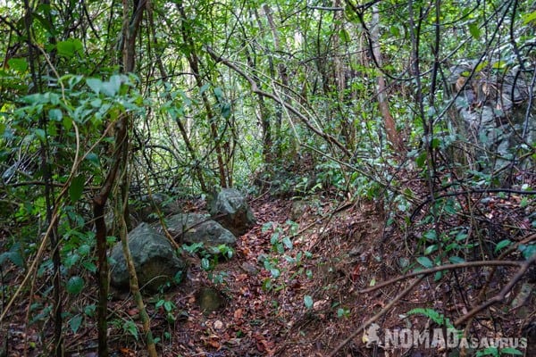 Jungle View Things To Do Phong Nha Hai's Eco Conservation Tour Vietnam