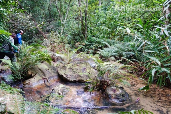 Trekking Things To Do Phong Nha Hai's Eco Conservation Tour Vietnam