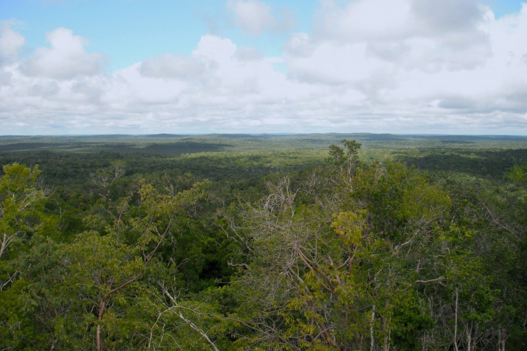 Peten Jungle Trekking To El Mirador In Guatemala