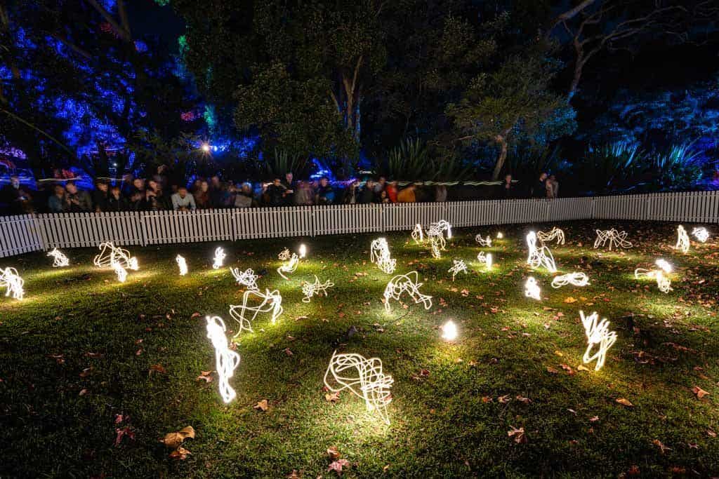 Fireflies Vivid Photography Tips