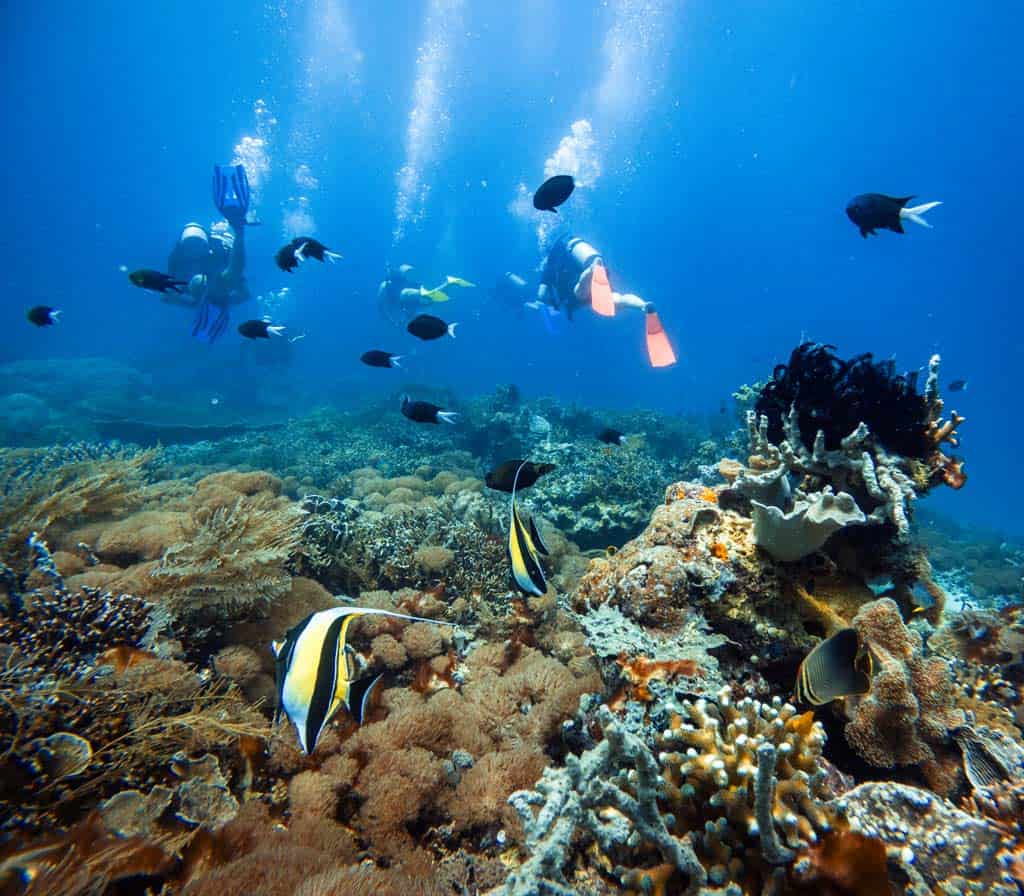 Diving In Indonesia Gopro