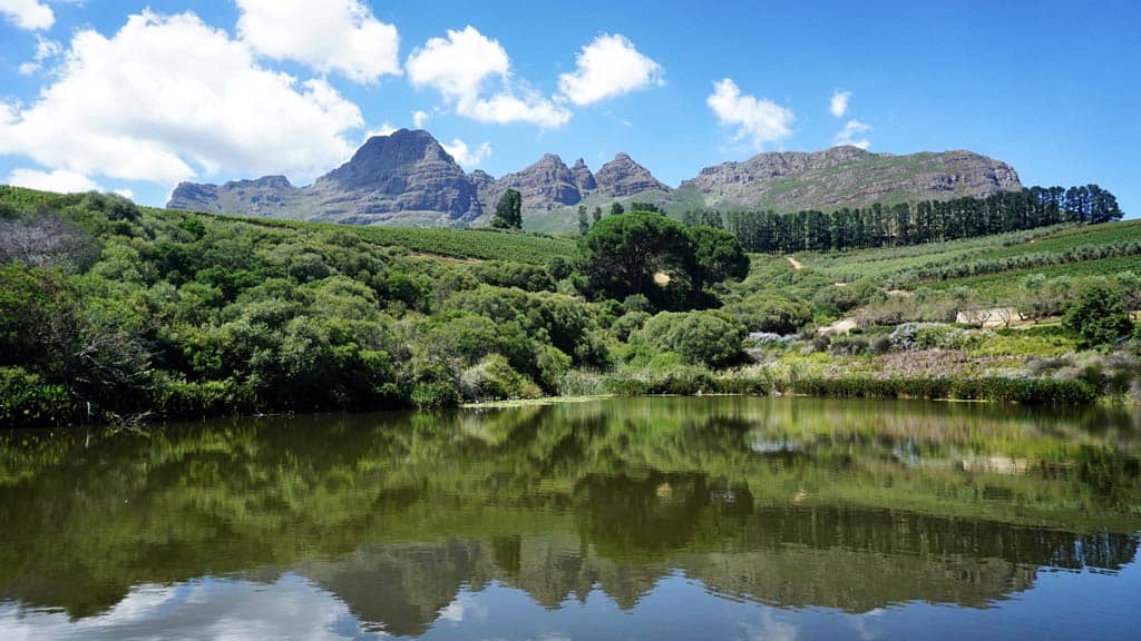 Winery And Mountains In Franschhoek Area