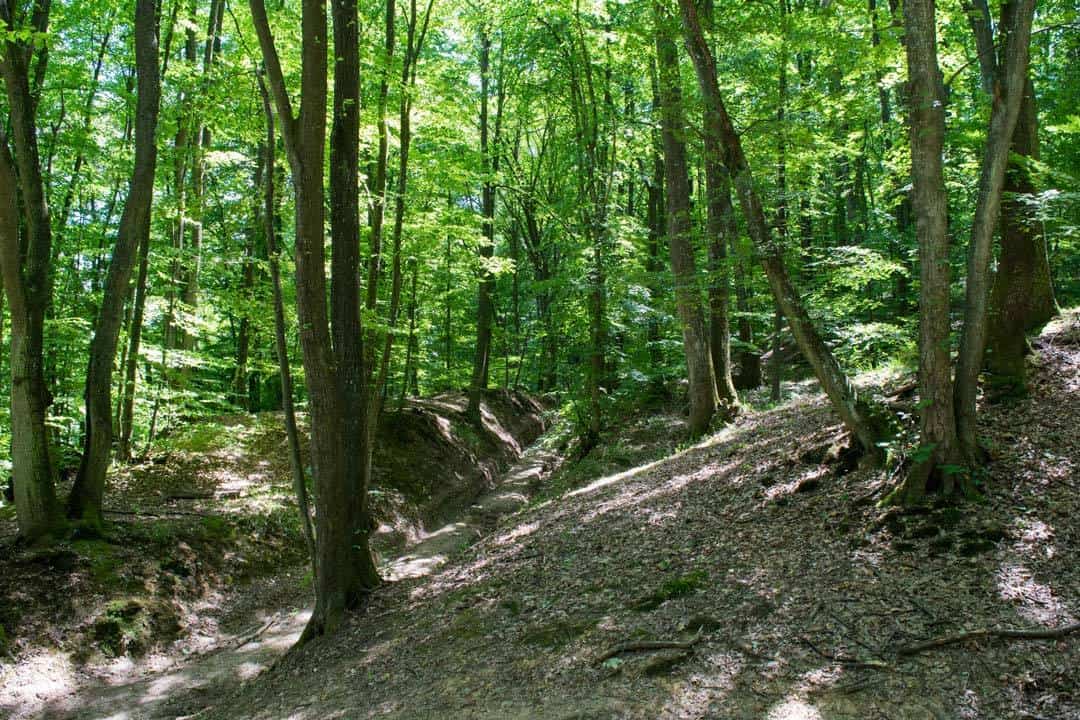 Fruska Gora Trail Day Hikes In The Balkans