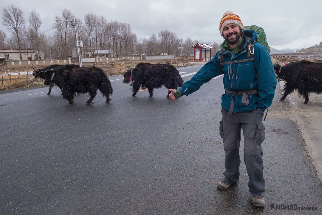Jazza Hitchhiking Tibet