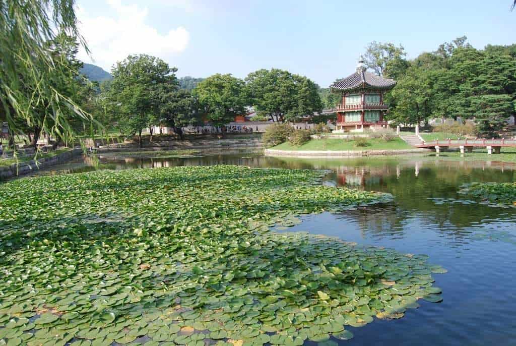A Garden In Seoul