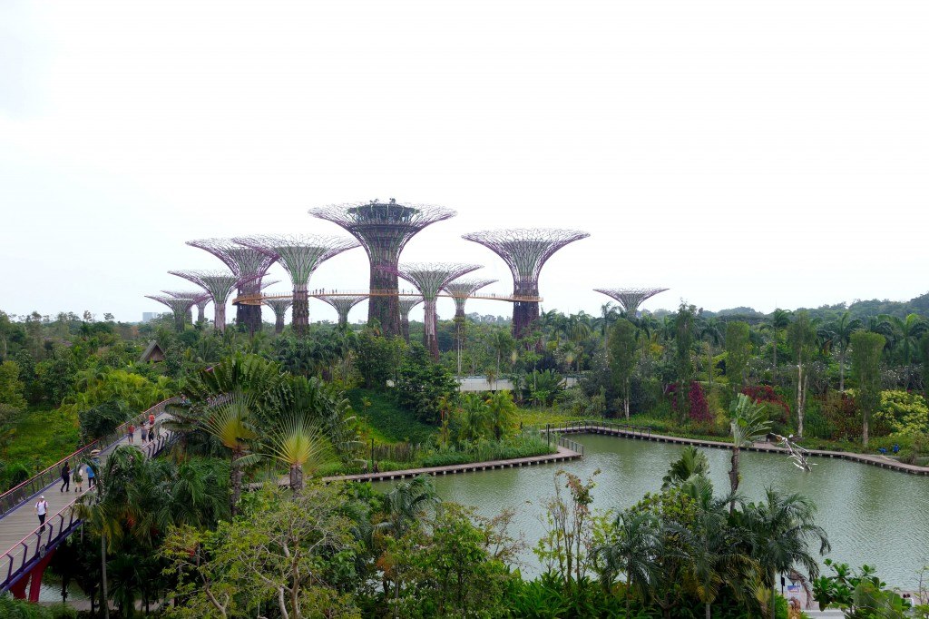 Gardens By The Bay Backpacking In Singapore On A Budget