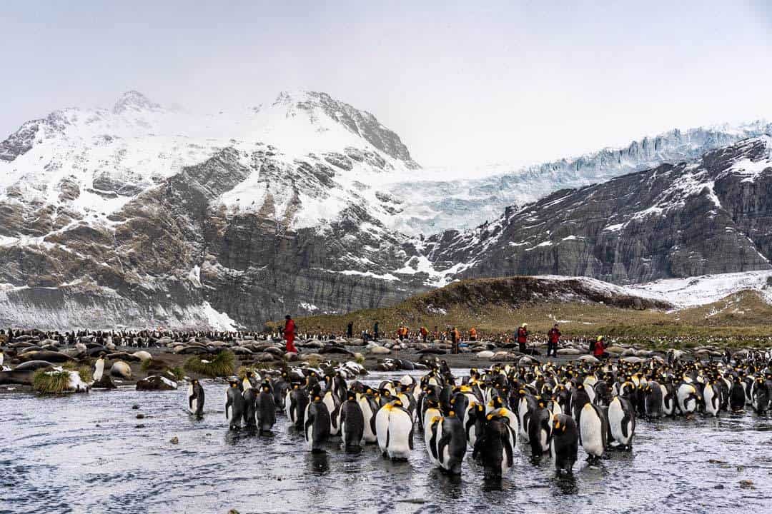 Gold Harbour South Georgia