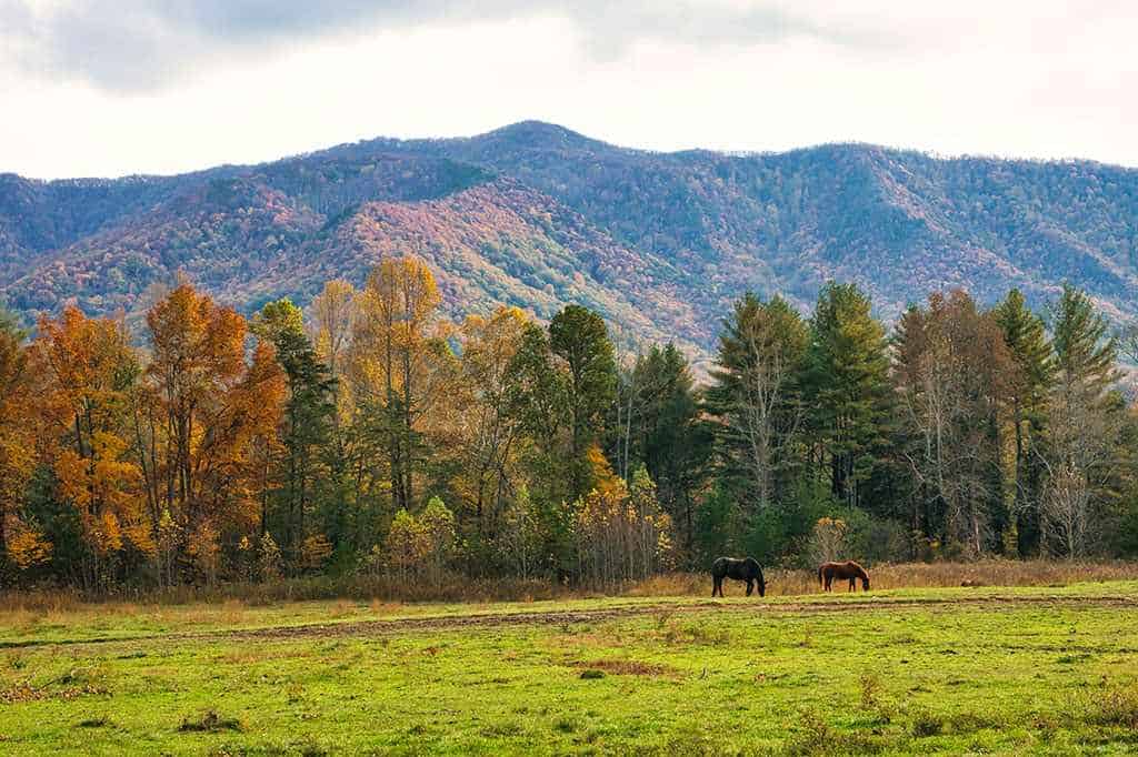 Great-Smoky-Mountains-National-Park-Tennessee