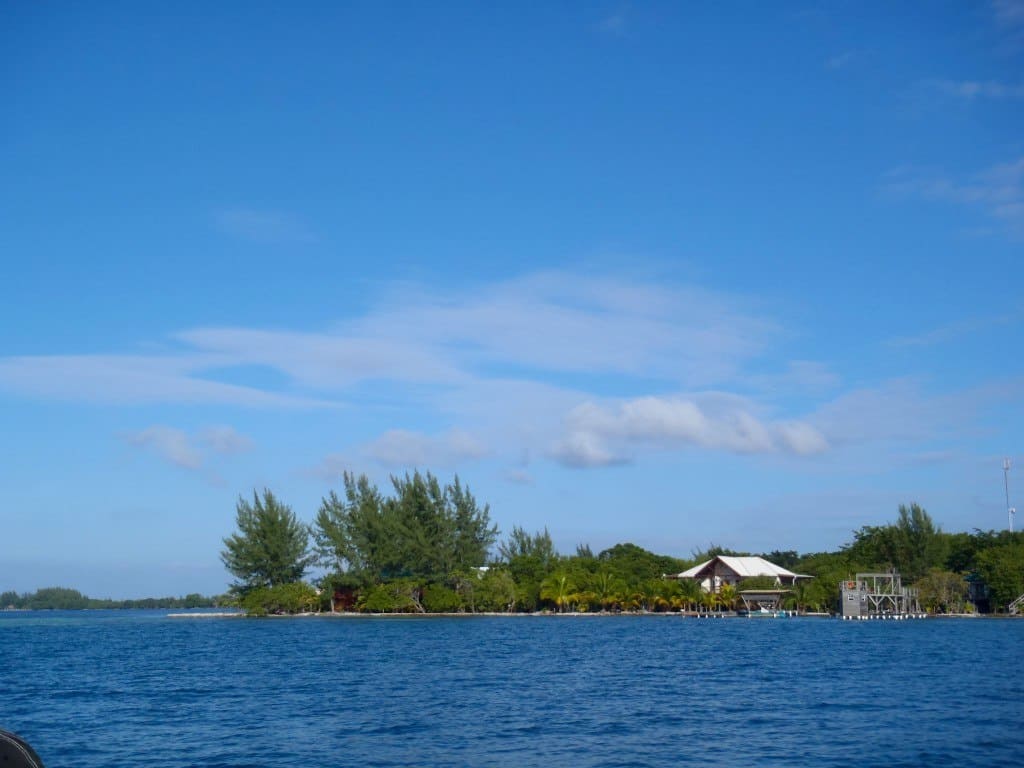 Water View Utila Honduras