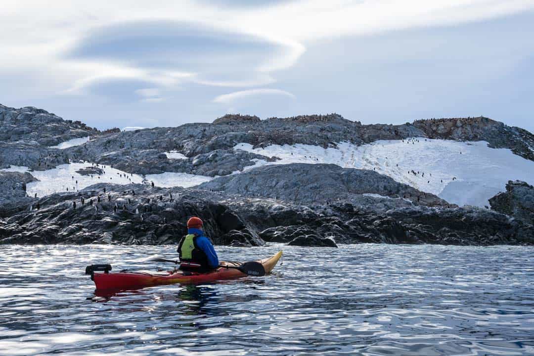 Penguins Cierva Cove Kayaking