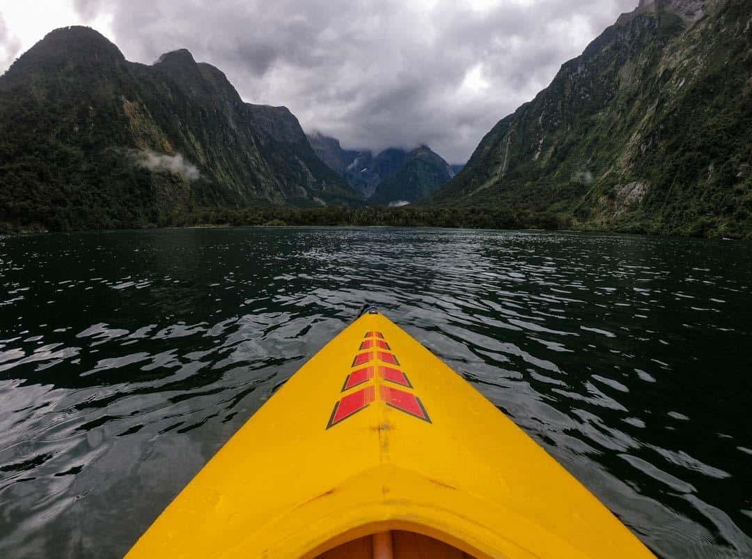 Kayaking Milford Sound