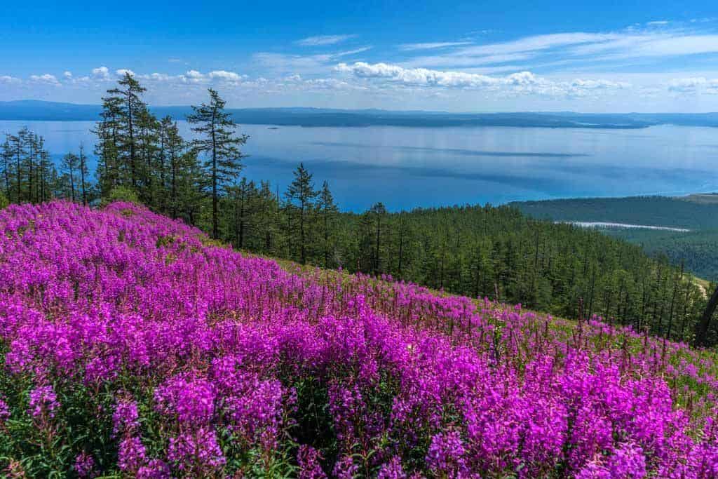 Khuvsgul Lake