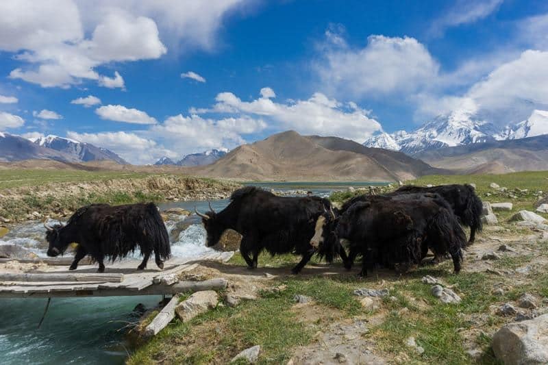 Trekking Karakul Lake Mutzagh Ata Karakoram Highway