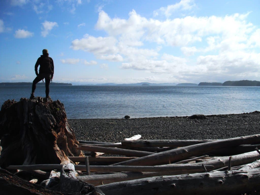 Lesh Looking Orca Haida Killer Whale Tattoo