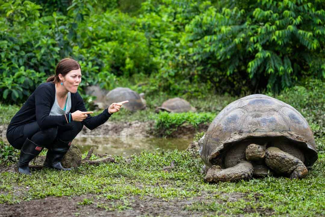 Santa Cruz Giant Tortoise Ecoventura Itinerary A Review Origin Galapagos Islands