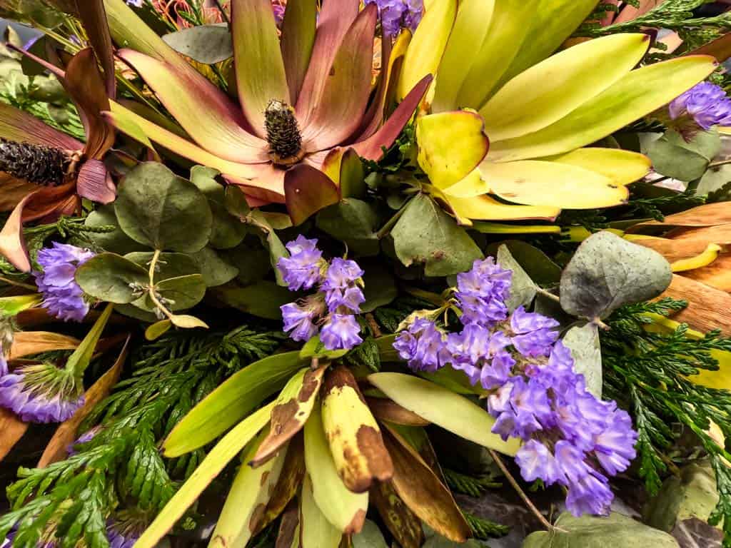 Macro Shot Taken On Gopro 13