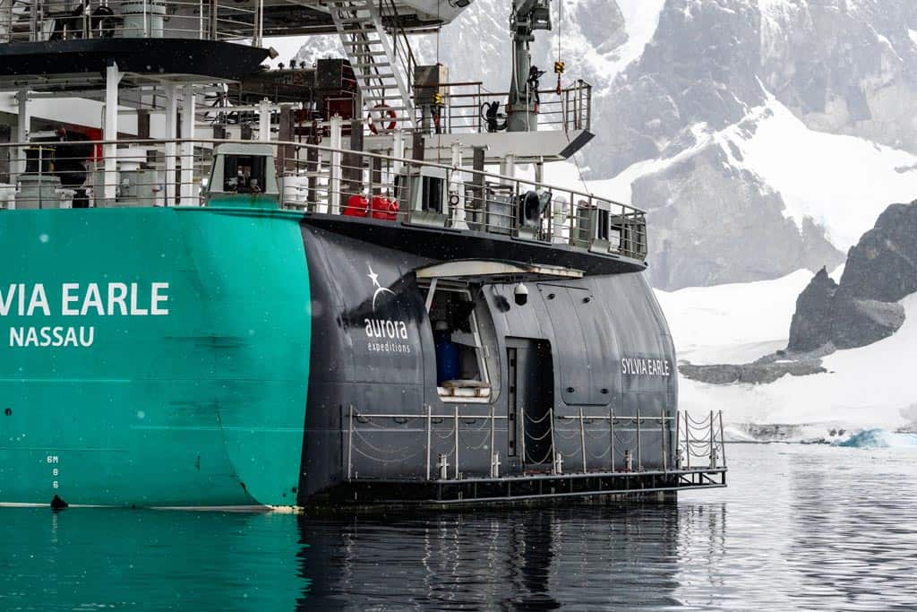 Marina Deck Sylvia Earle