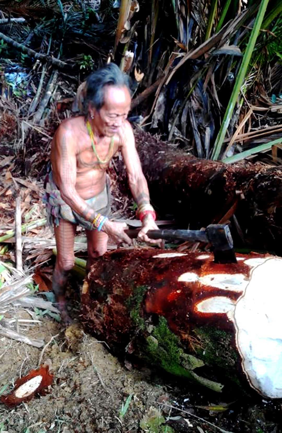 Mentawai Tribe