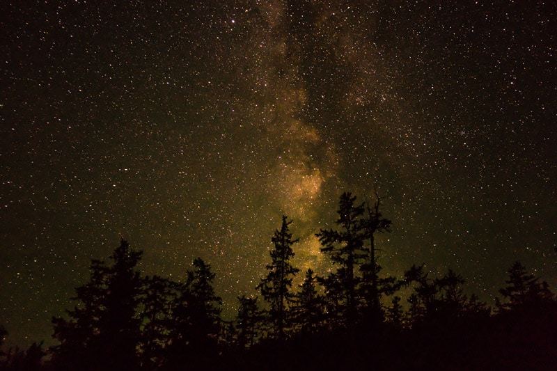 Camping In Khovsgol Lake Mongolia