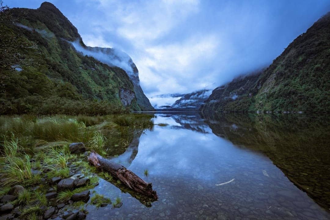 Misty Morning Doubtful Sound