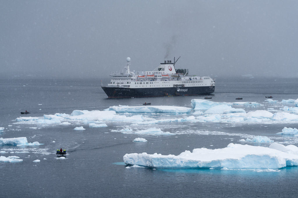 Intrepid Ocean Endeavour