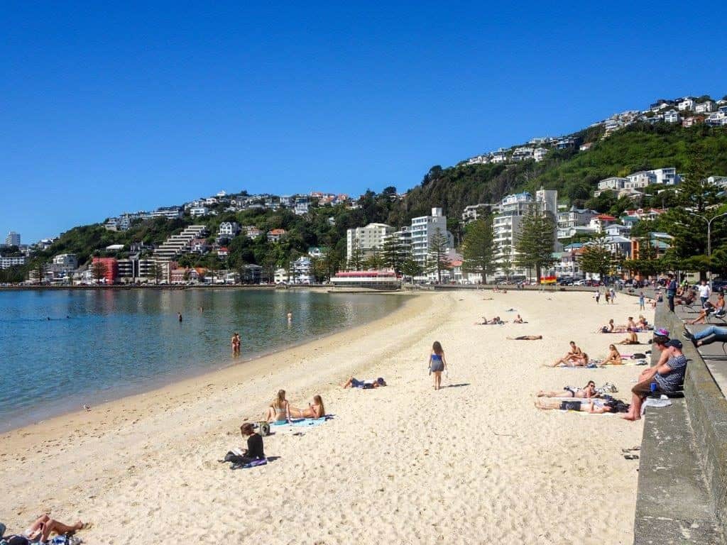 Things To Do In Wellington, New Zealand Relax Along The Bay
