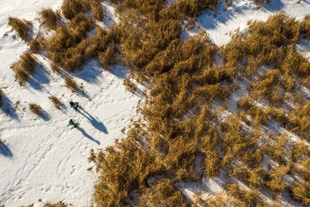 Oak Hammock Marsh Manitoba