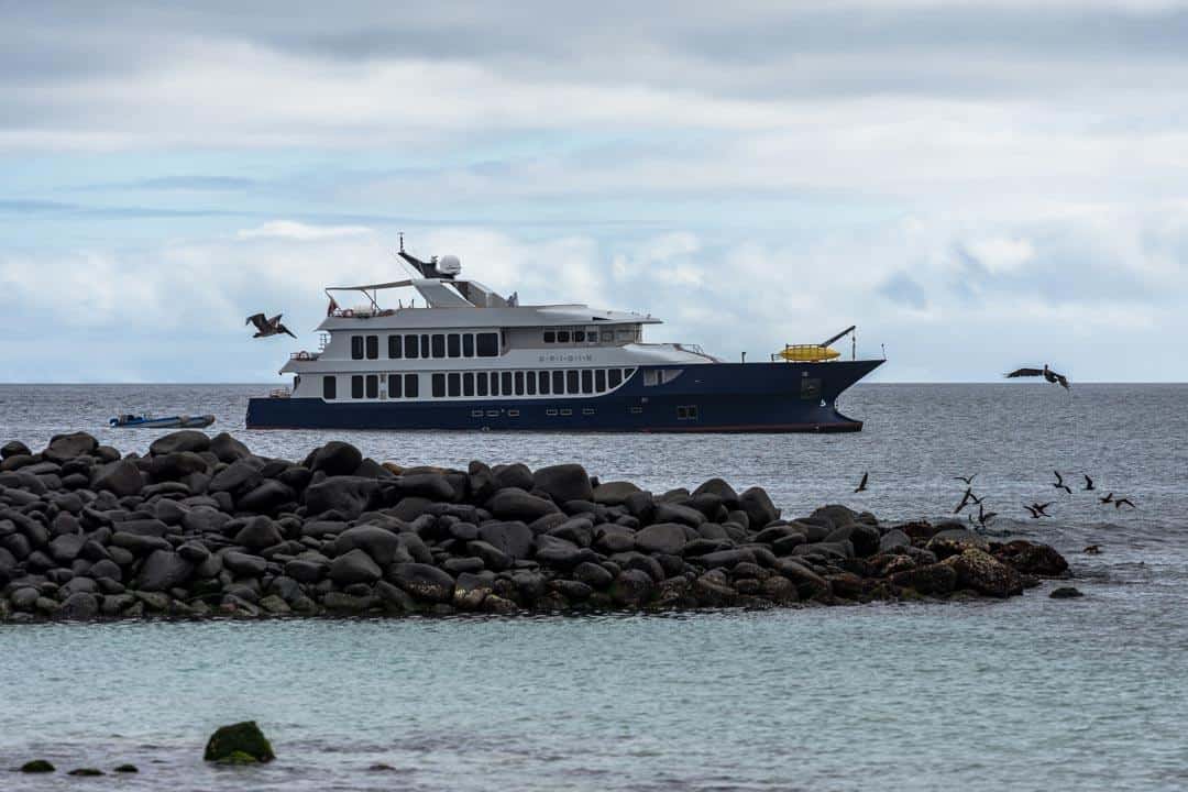 Mv Origin Ecoventura Itinerary A Review Origin Galapagos Islands