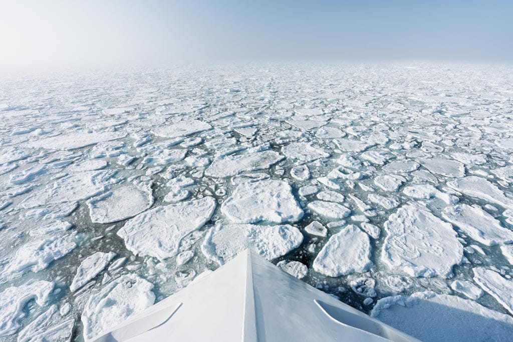 Pack Ice Svalbard Aurora Expeditions 5