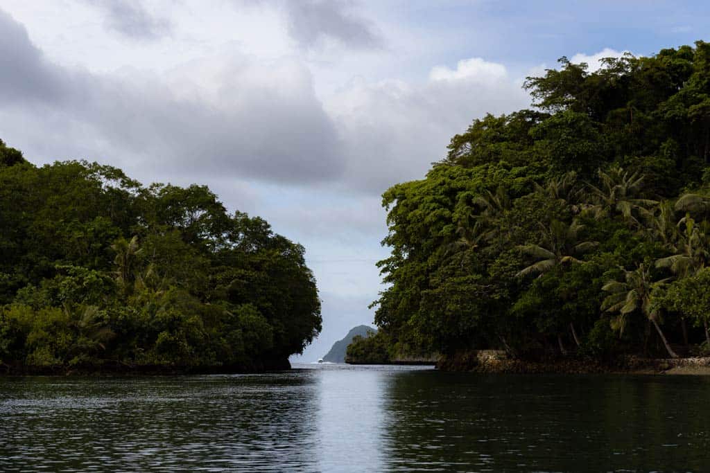 Limestone Formation Everywhere