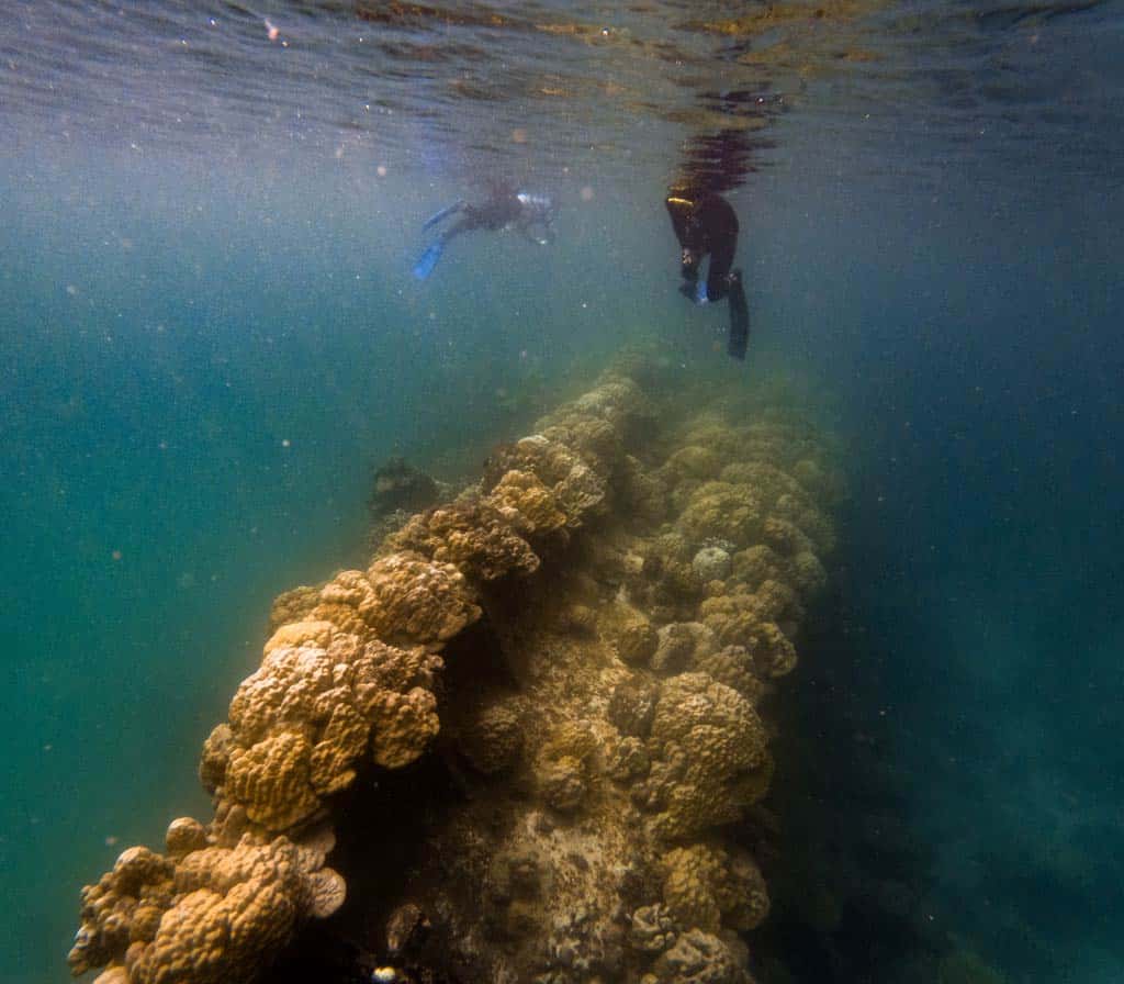 Old Shipwreck With Coral