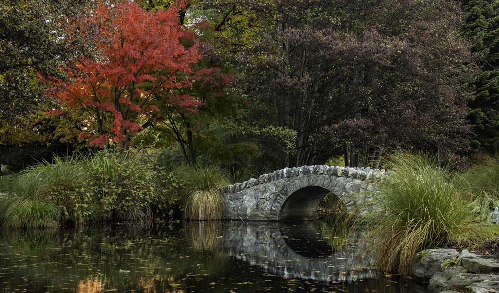 Garden With A Stone Bridge In Queenstown