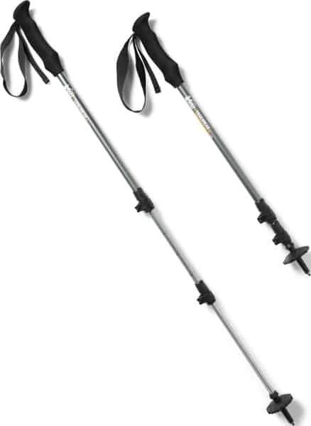 Rei Coop Trail Break Trekking Poles